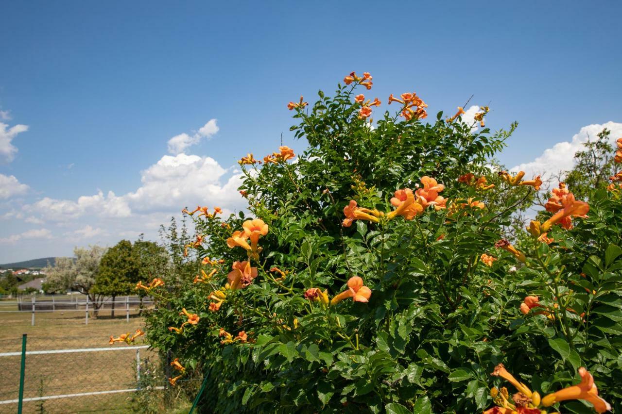 Country Lake Villa Breitenbrunn  Εξωτερικό φωτογραφία